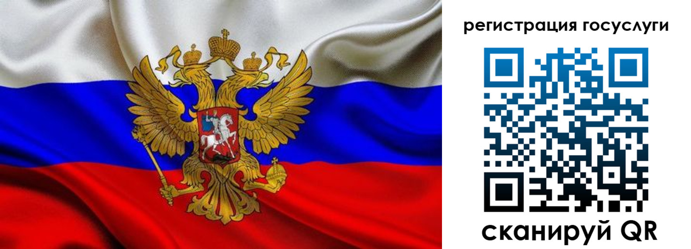 прописка гарантия в Липецкая области